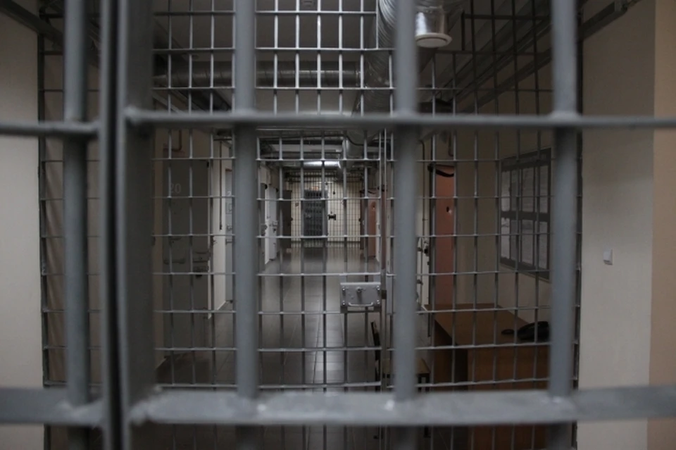 Решением суда мужчина был помещен под стражу