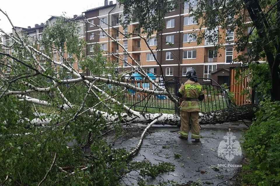 Андреаполь ураган 2 августа. Торнадо в калифорнии. Торнадо в андреаполе 2 августа. Ураган аллен 1980. Ураган фото.