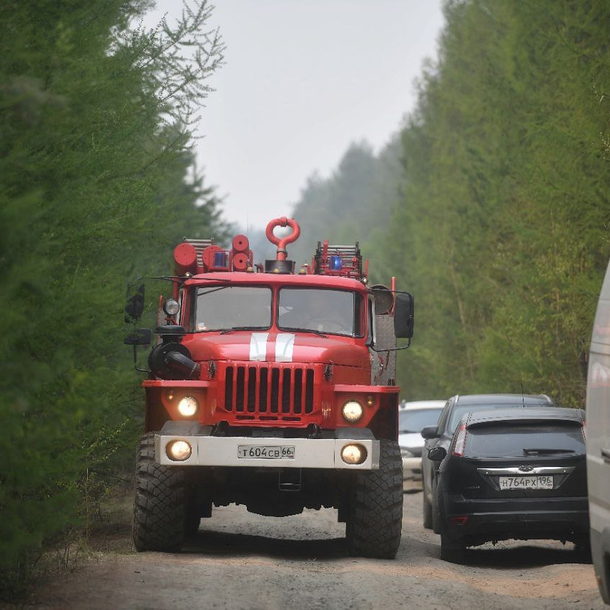 В уральском поселке из-за лесного пожара перекрыли движение транспорта -  KP.RU