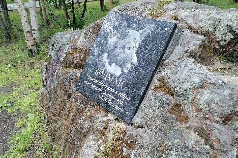 Боцман был добрым, ладил и со взрослым, и с детьми. Фото: t.me/groupmurmansk
