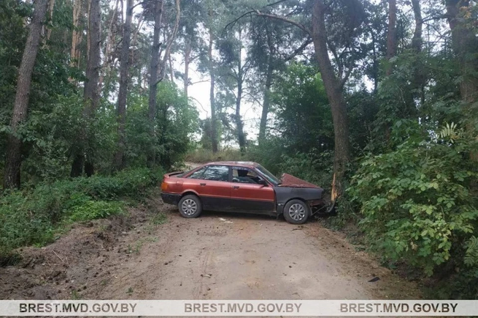 Нетрезвый водитель врезался в дерево в Каменецком районе. Фото: ГАИ УВД Брестского облисполкома.