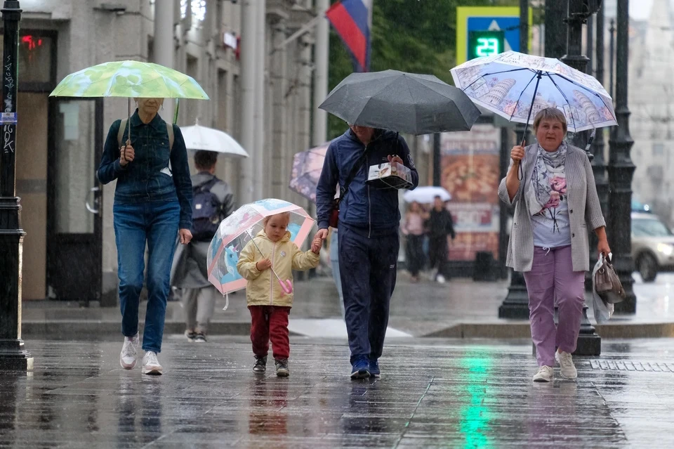 В Москве за прошедшие сутки выпала треть от июльской нормы осадков