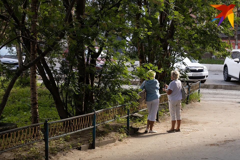 В Мурманскую область к середине недели вернется теплая погода.