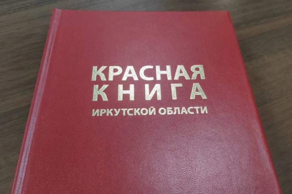 Был найден вид растения, который считался исчезнувшим уже около 60 лет – астрагал Ионы.