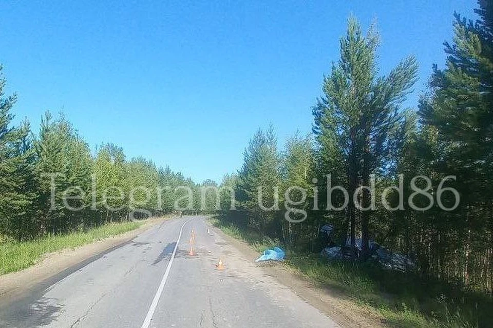Фото: Госавтоинспекция Югры