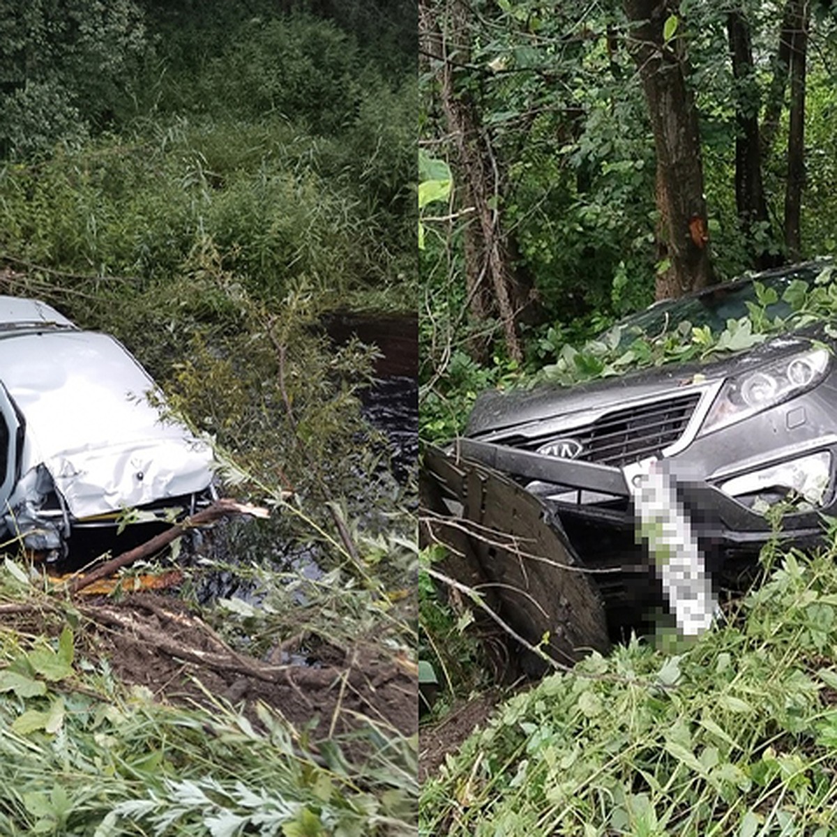 В Тверской области автомобиль оказался в канаве в результате ДТП - KP.RU