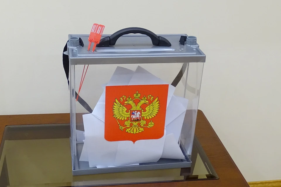 В Липецке зарегистрировали пятого кандидата на довыборы в Госдуму