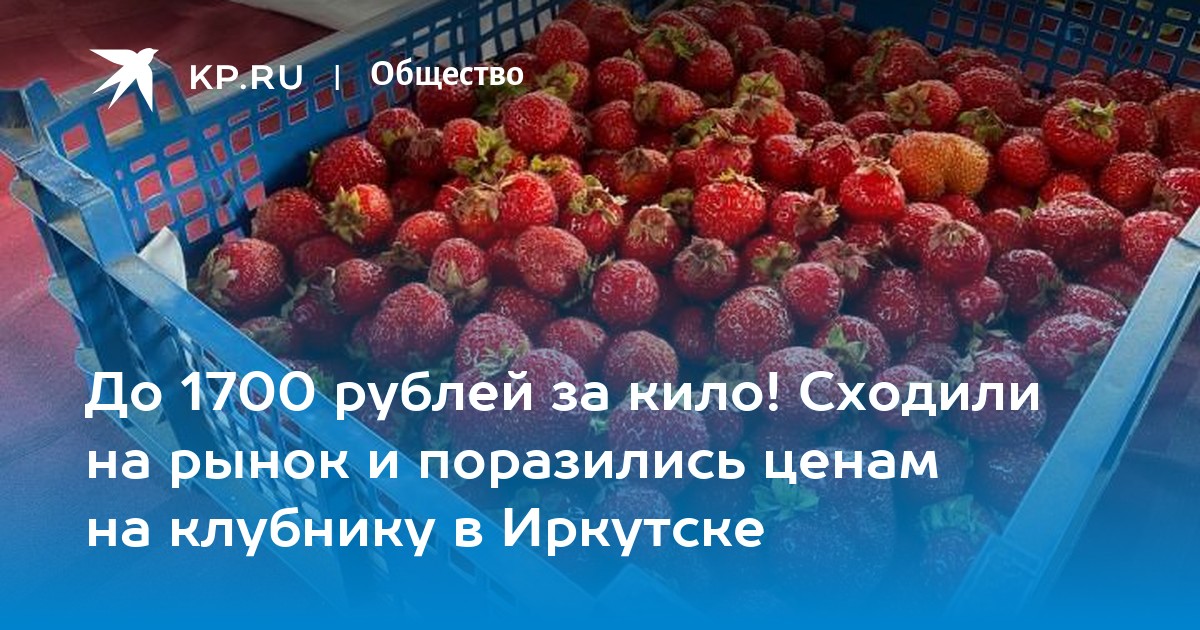 Питомник клубники иркутск