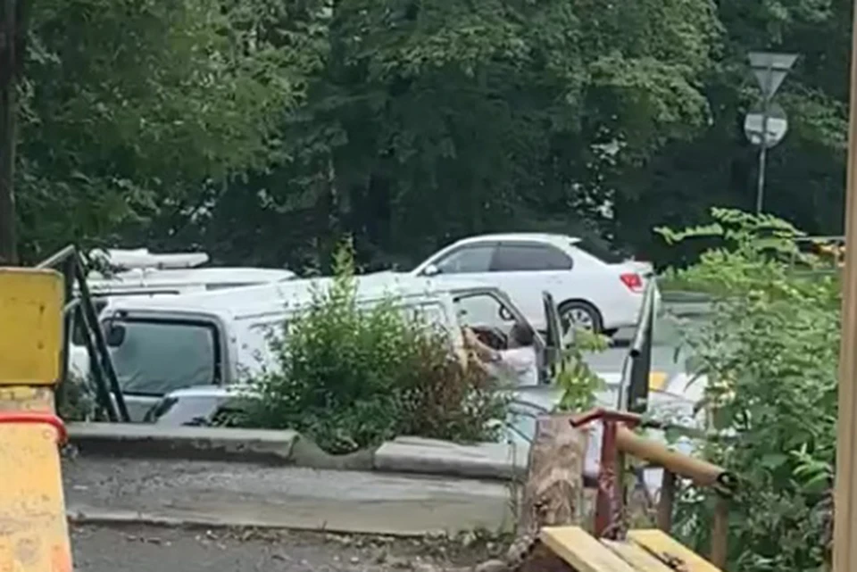 Произошло все на Тополиной аллее.
