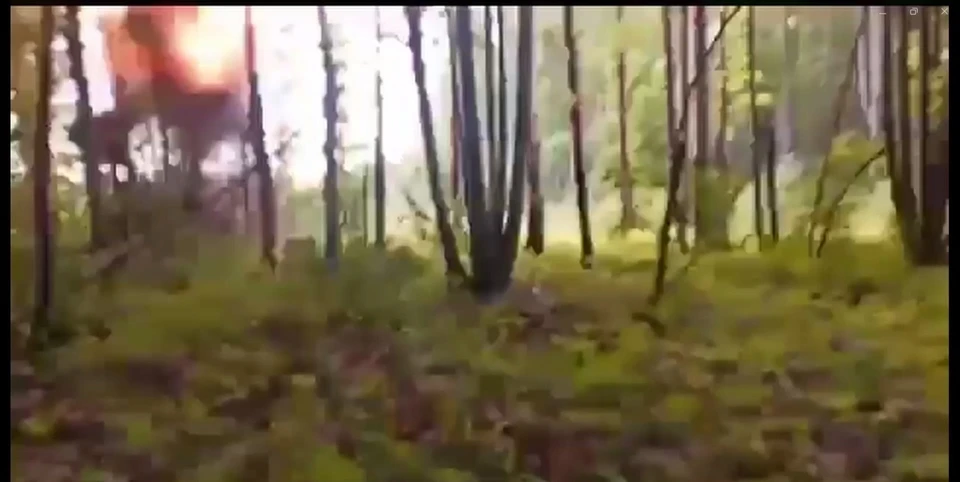 Фото: скриншот из видео