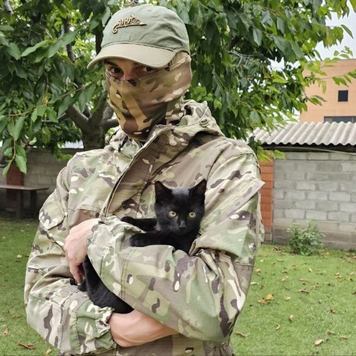 В зоне СВО они нам очень нужны»: Военный из ЛНР вернулся в отпуск вместе с  «боевым» котенком - KP.RU