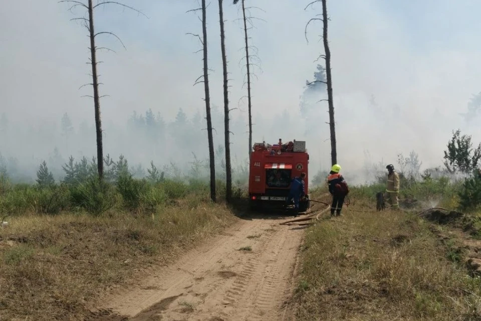 Пожар тушат 362 человека и 74 единицы техники. Фото: Николай Ренц.