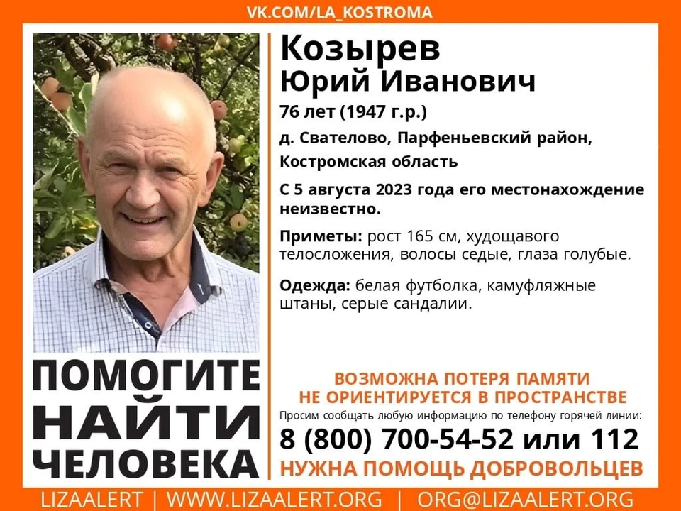 Фото: ДПСО "Лиза Алерт" Костромской области