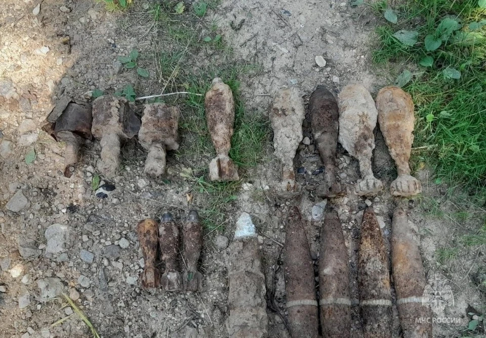 В Цветовке были найдены боеприпасы