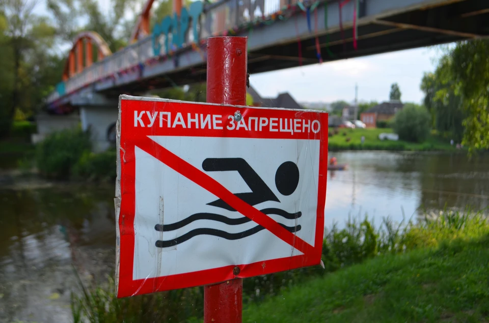 В Белгородской области на водоемах за прошедшую неделю произошло пять происшествий.