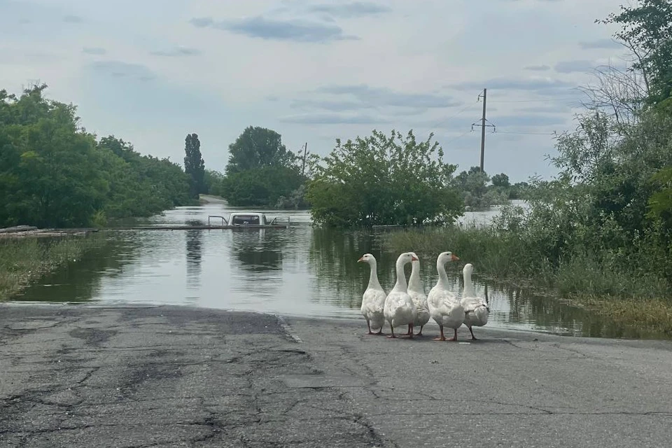 Вода остается в низинах Фото: Новокаховская администрация