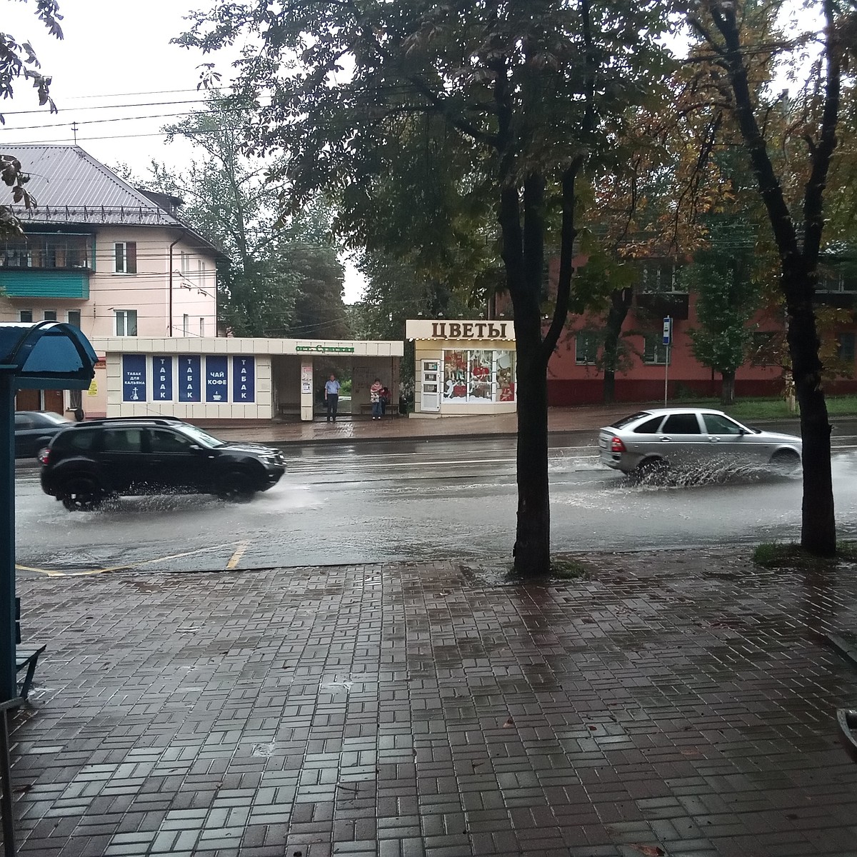 Последствия ливня в Курской области: повреждены крыши и авто, повалены  деревья - KP.RU