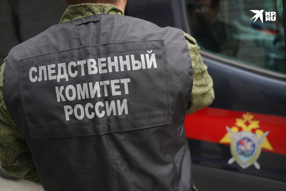 Подозреваемого в покушении на изнасилование 41-летнего скопинца заключили под стражу. Фото: Светлана МАКОВЕЕВА.