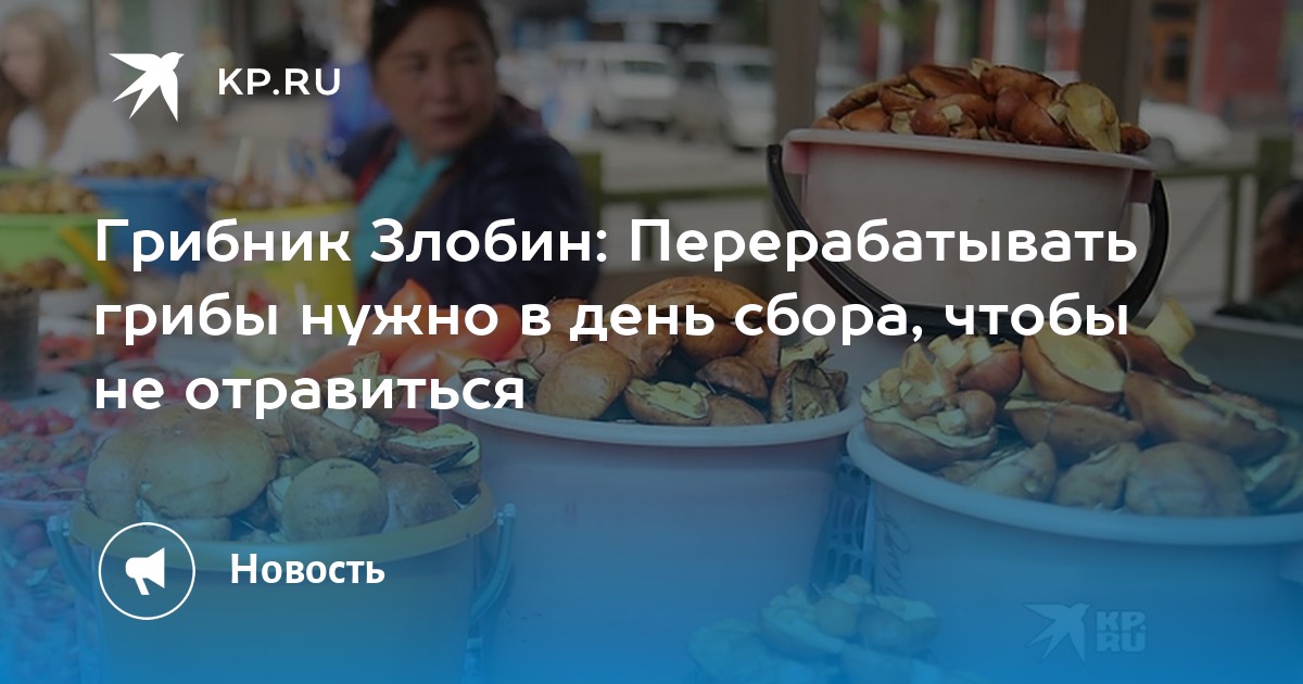 Бизнес план по переработке грибов