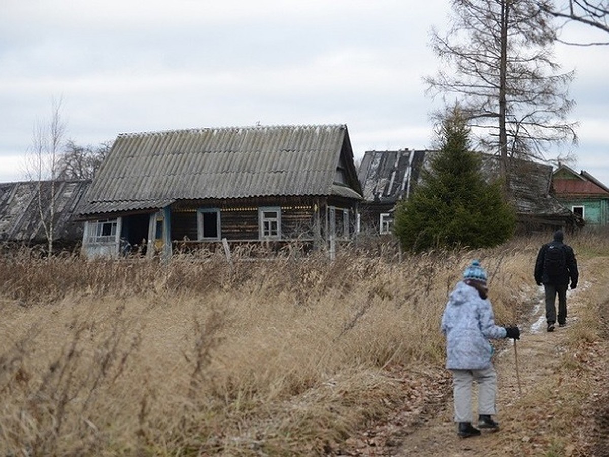 Аукцион со снижением цены, рассрочка на 3 года и снос ветхого жилья. В  Беларуси составили инструкцию, как купить дом в деревне за одну базовую  величину 37 рублей - KP.RU