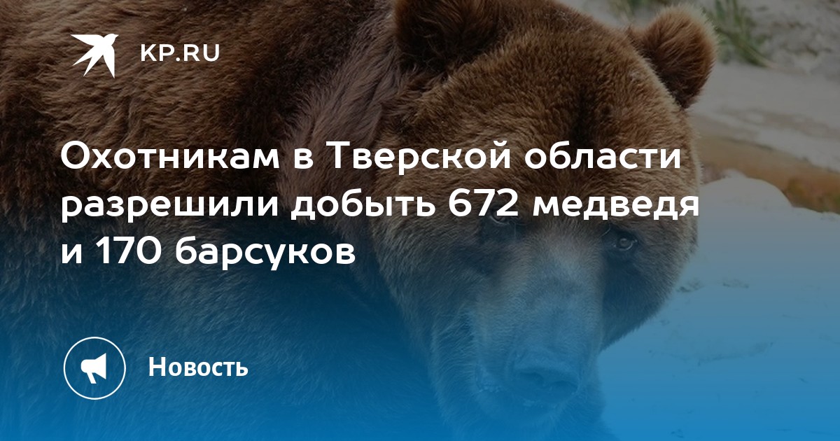 В Новосибирской области медведь проник на территорию охраняемой военной