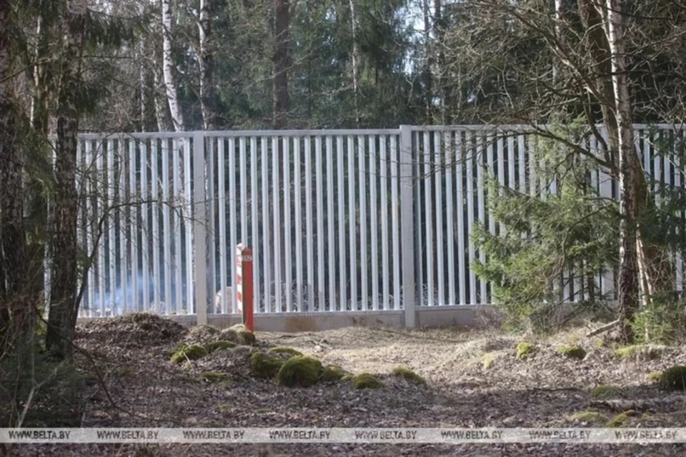 На референдум в Польше планируют вынести вопрос о сносе заграждения на границе с Беларусью. Фото: БелТА