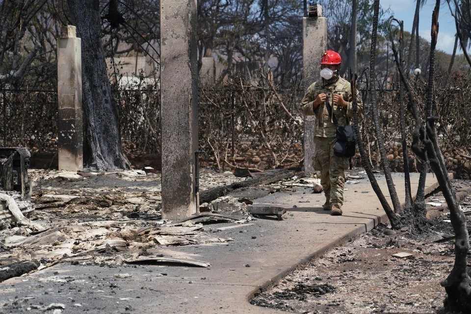Число жертв лесных пожаров на Гавайях достигло 99 человек