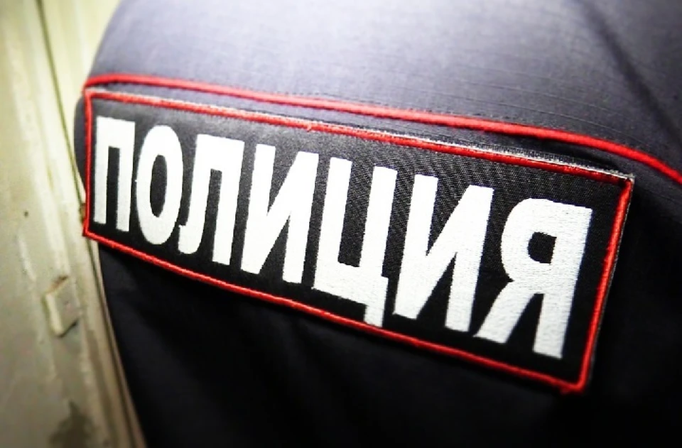 Правоохранители задержали 23-летнего мужчину по горячим следам (архивное фото). Фото: МВД ДНР