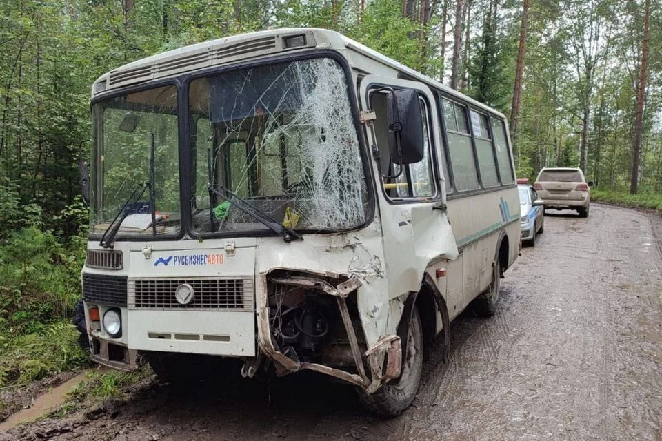 В Красноярском крае в ДТП с автобусом пострадали семь женщин. Фото: МВД