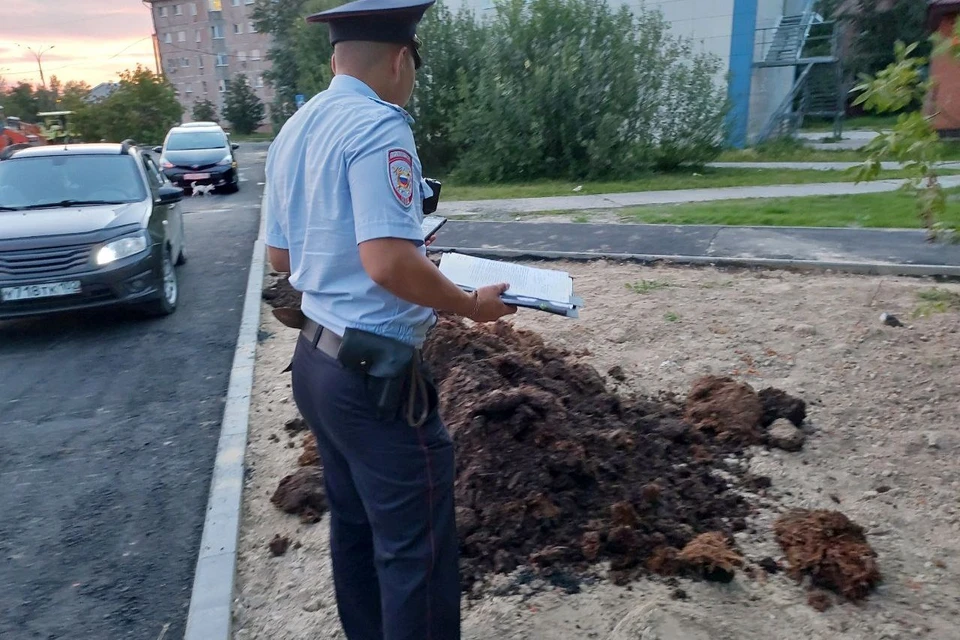 В Урае жители дома жалуются на некачественное благоустройство территории дома. Фото: Леонард Насибуллин