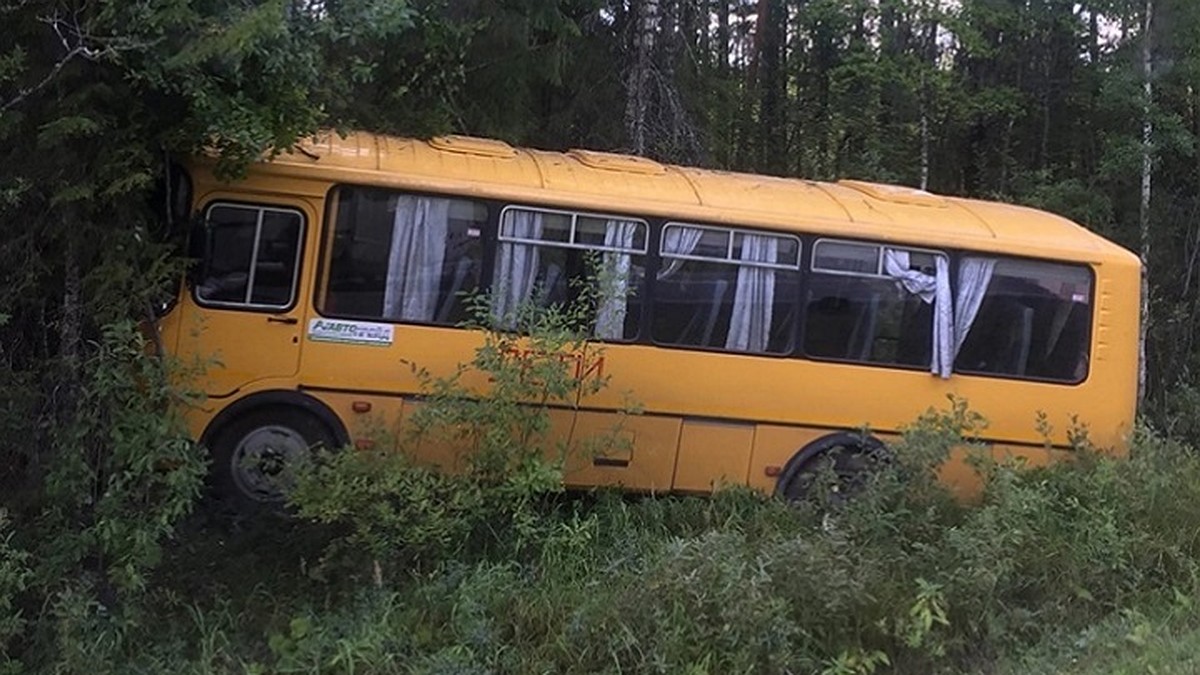 Водитель уснул за рулем: подробности ДТП в Прикамье, где пострадали 15  детей - KP.RU