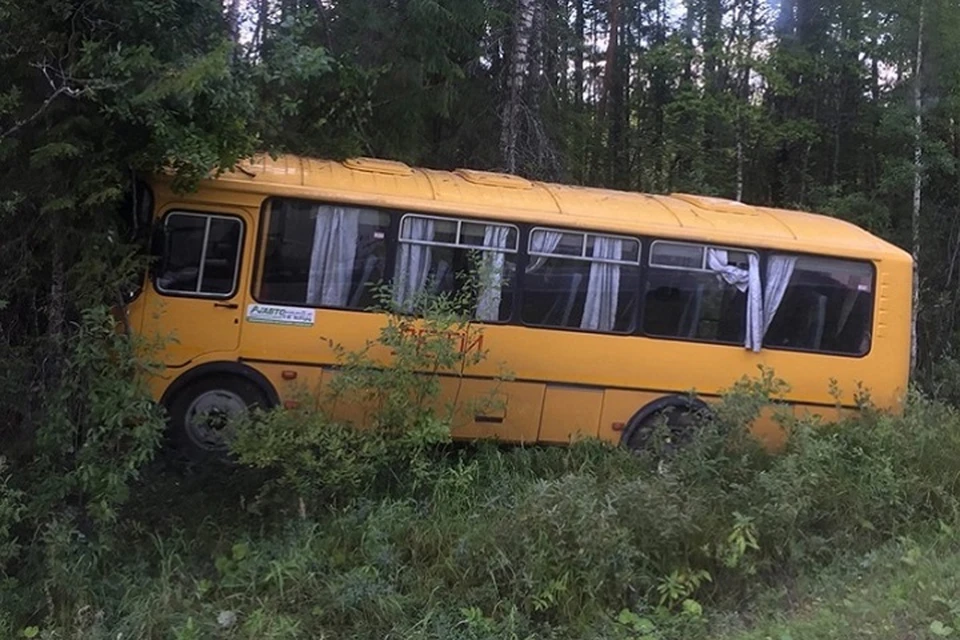 Школьный автобус съехал с дороги и врезался в деревья. Фото предоставлено Сергеем