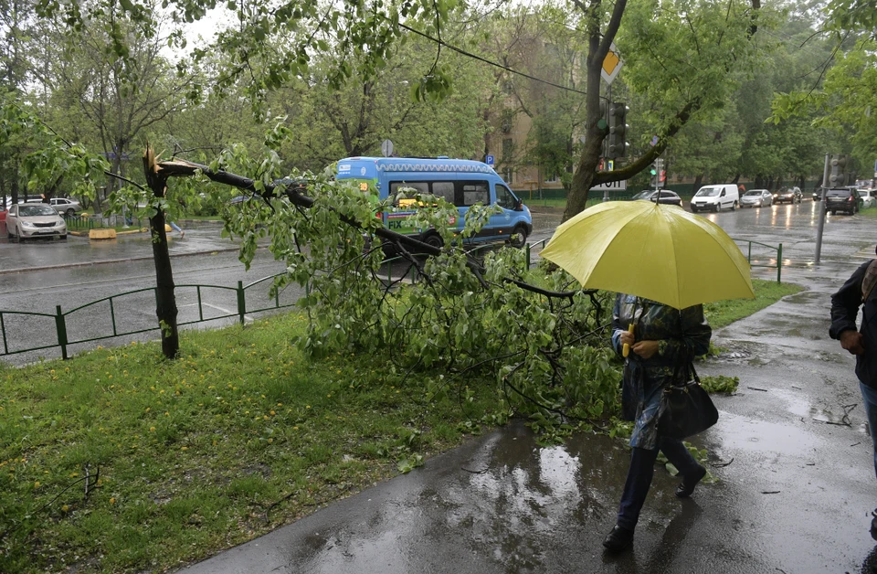 Грозы и дожди ожидаются 21 августа в Смоленской области.