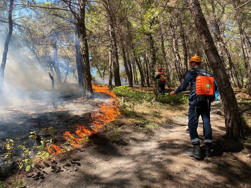 В лесах Кубани вспыхивают пожары