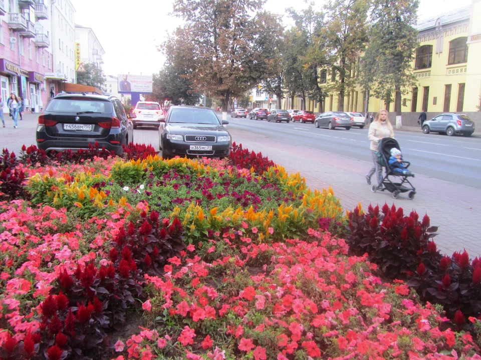 Участники рейда работали на улицах Лысая Гора, Союзная, Краснознаменная, Верхняя Луговая, Республиканская и других