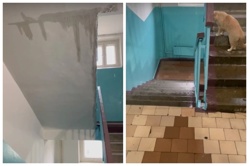 Фото: соцсети. Затопленный подъезд.