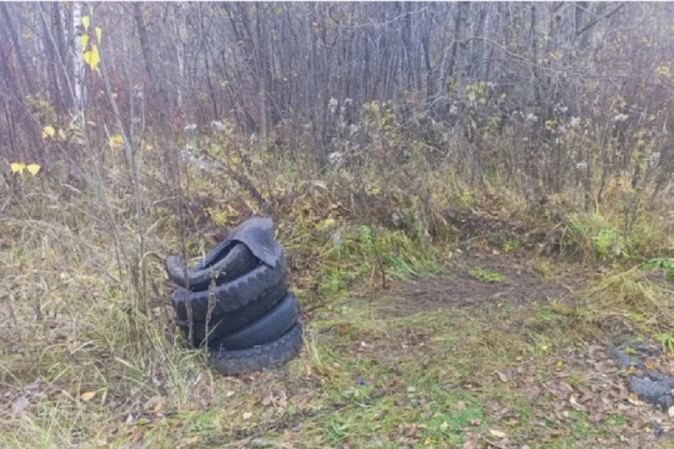 А пока в лесах и пригородах множатся незаконные свалки. Фото: администрация Кирова