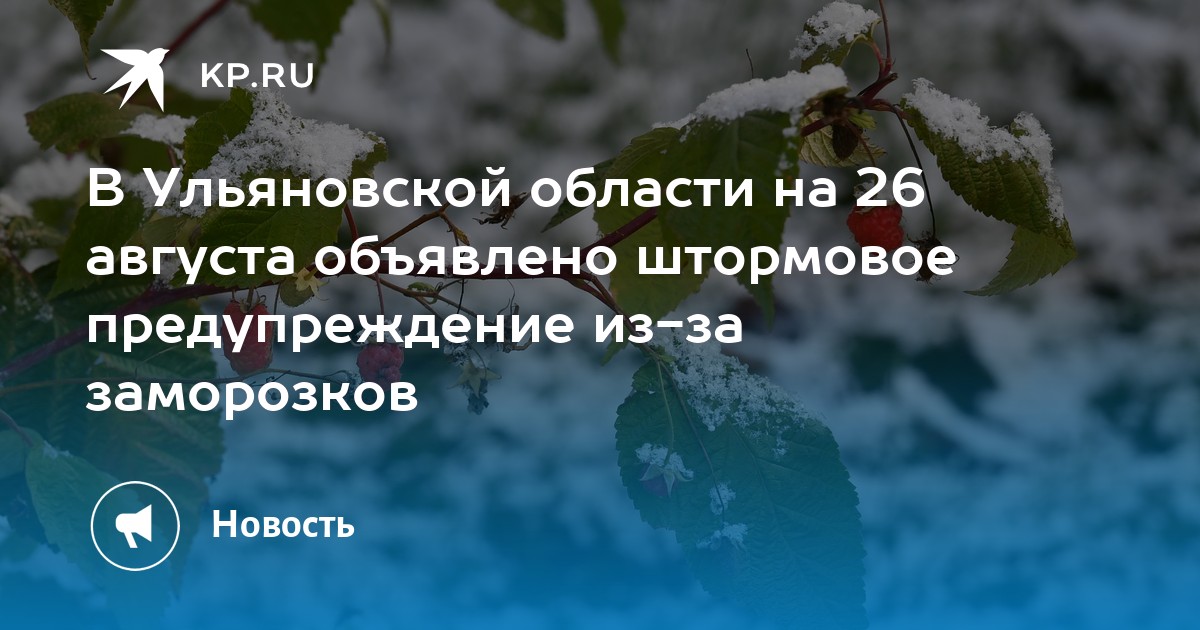 Гранты ульяновской области 2023