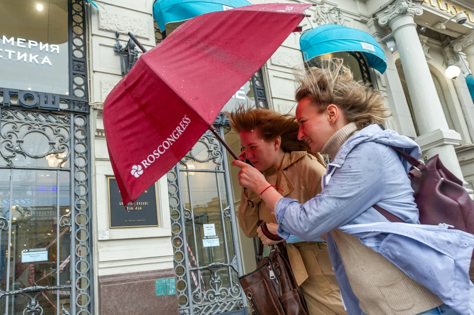 Порадовались теплу и хватит - в Петербурге мы или где?