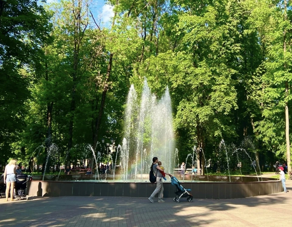 возобновившего работу фонтана на Блонье в Смоленске появится подсветка.