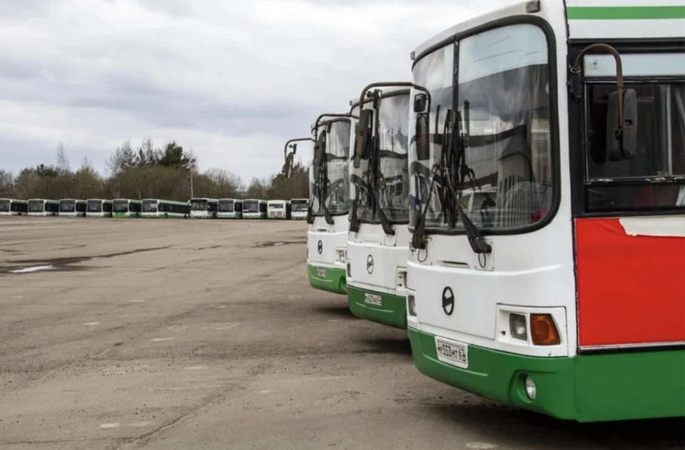 В Смоленск закупят 17 новых автобусов большой вместимости. Фото: пресс-служба администрации города.