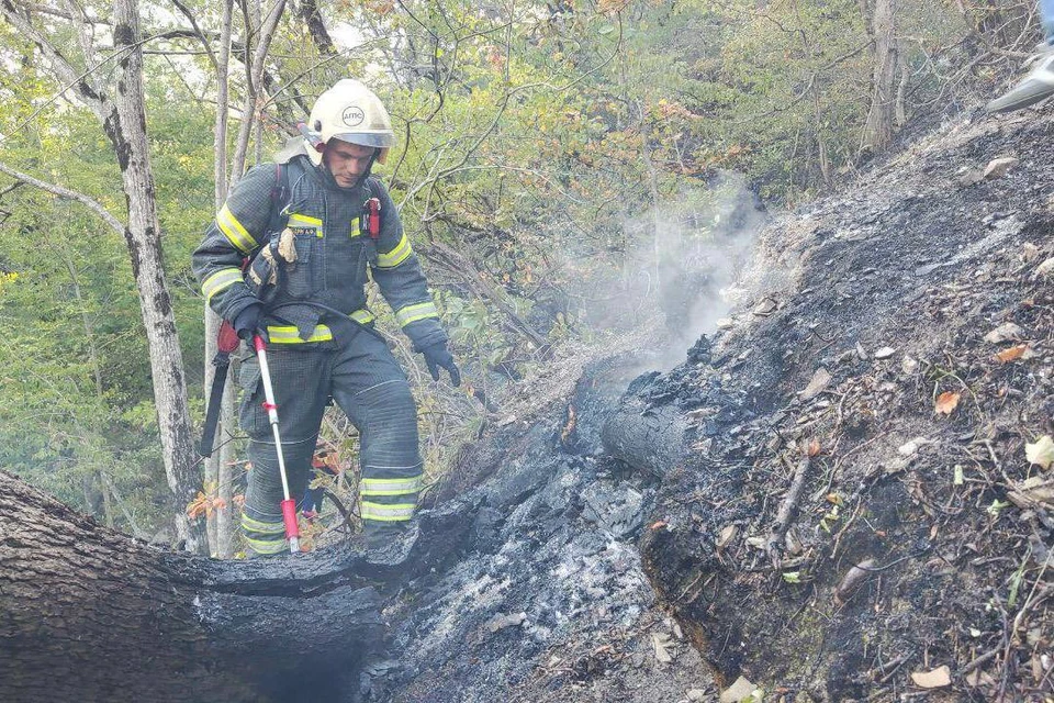В Геленджике площадь лесного пожара достигла 118 гектаров