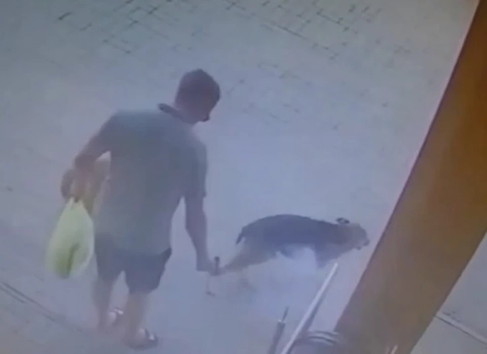 Кадр с видео