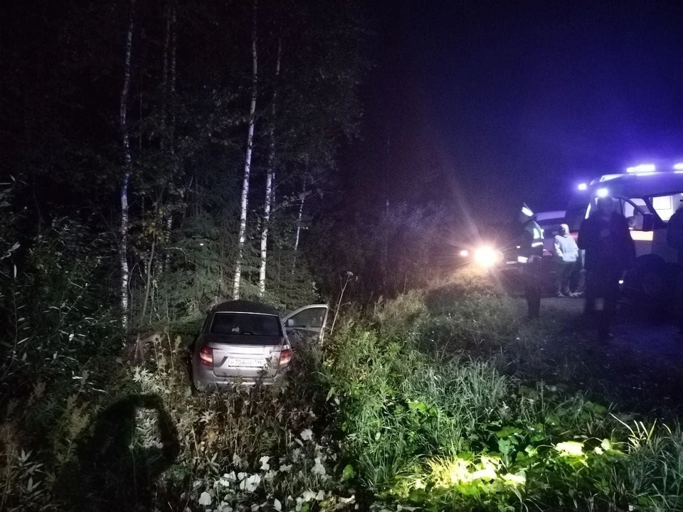 Мужчина сбил лося и от полученных травм скончался и сам. Фото: ГИБДД Свердловской области