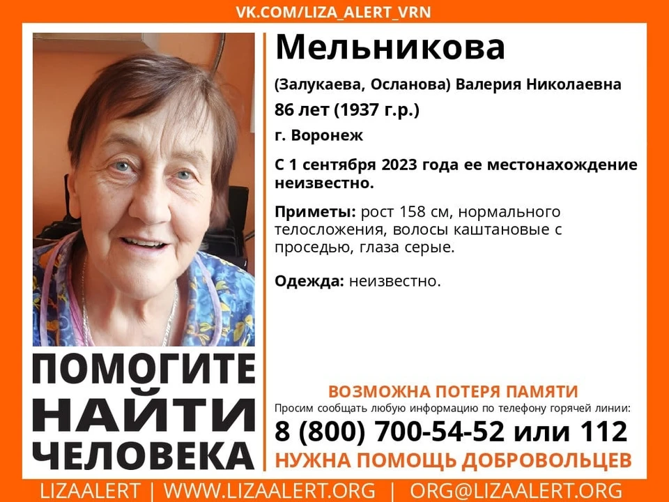 Ориентировка волонтеров