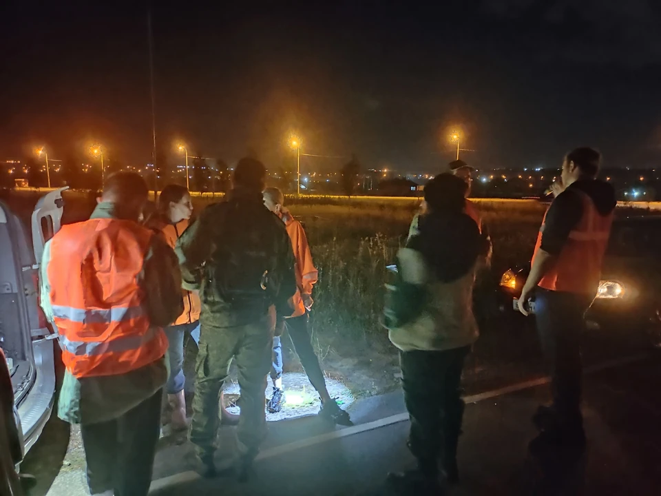 Фото: сообщество поискового отряда «ЛизаАлерт» в социальной сети