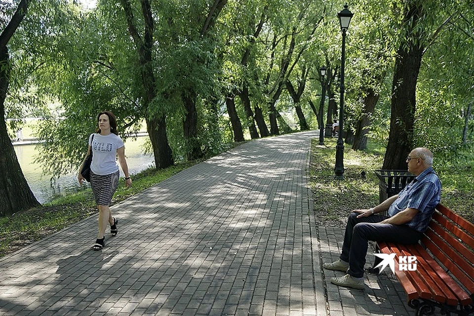 В поселениях Ямала обновят флору