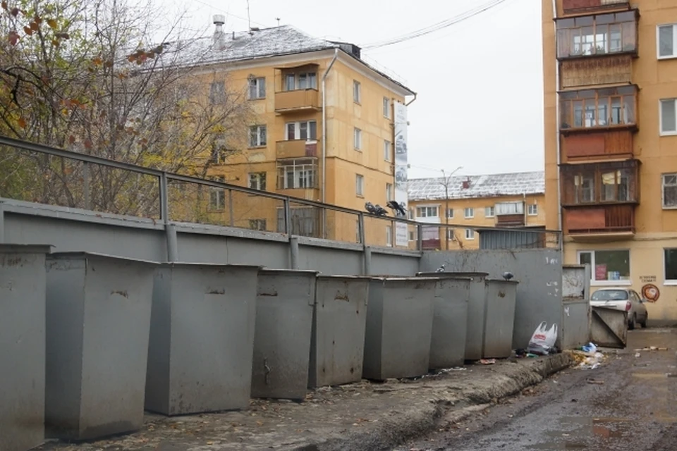 В Новосибирске трое парней пойдут под суд за украденные мусорные баки у НГУ.