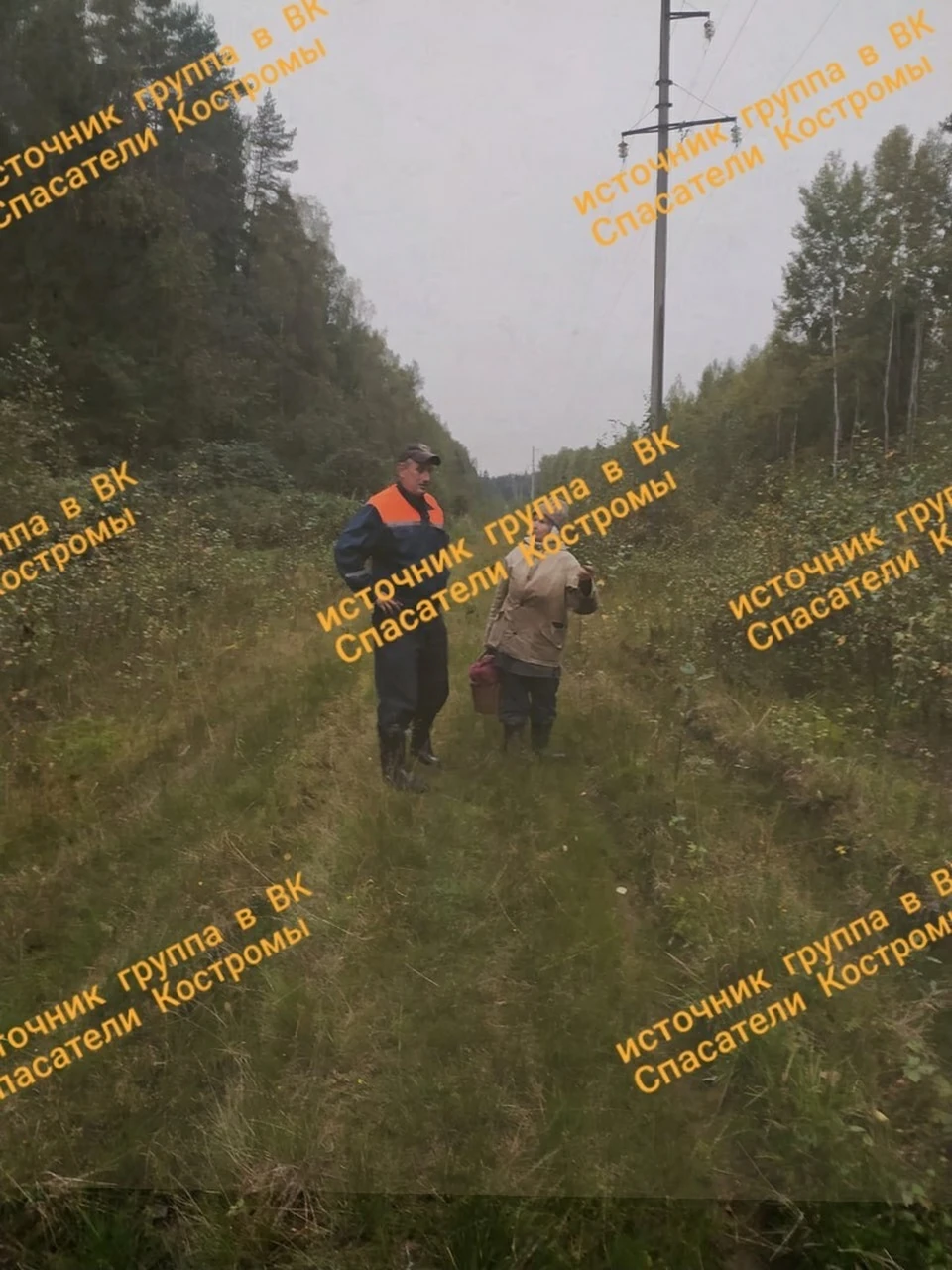 Под Костромой из леса вывели 82-летнюю собирательницу грибов. Фото: ОГБУ «Пожарно - спасательная служба» Костромской области