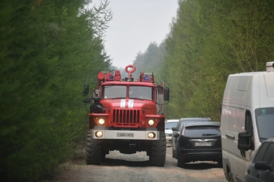 В ЛНР объявлена чрезвычайная пожарная опасность